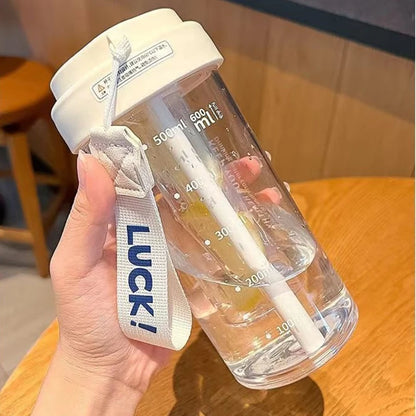 600ML Large Capacity Plastic Straw Cup